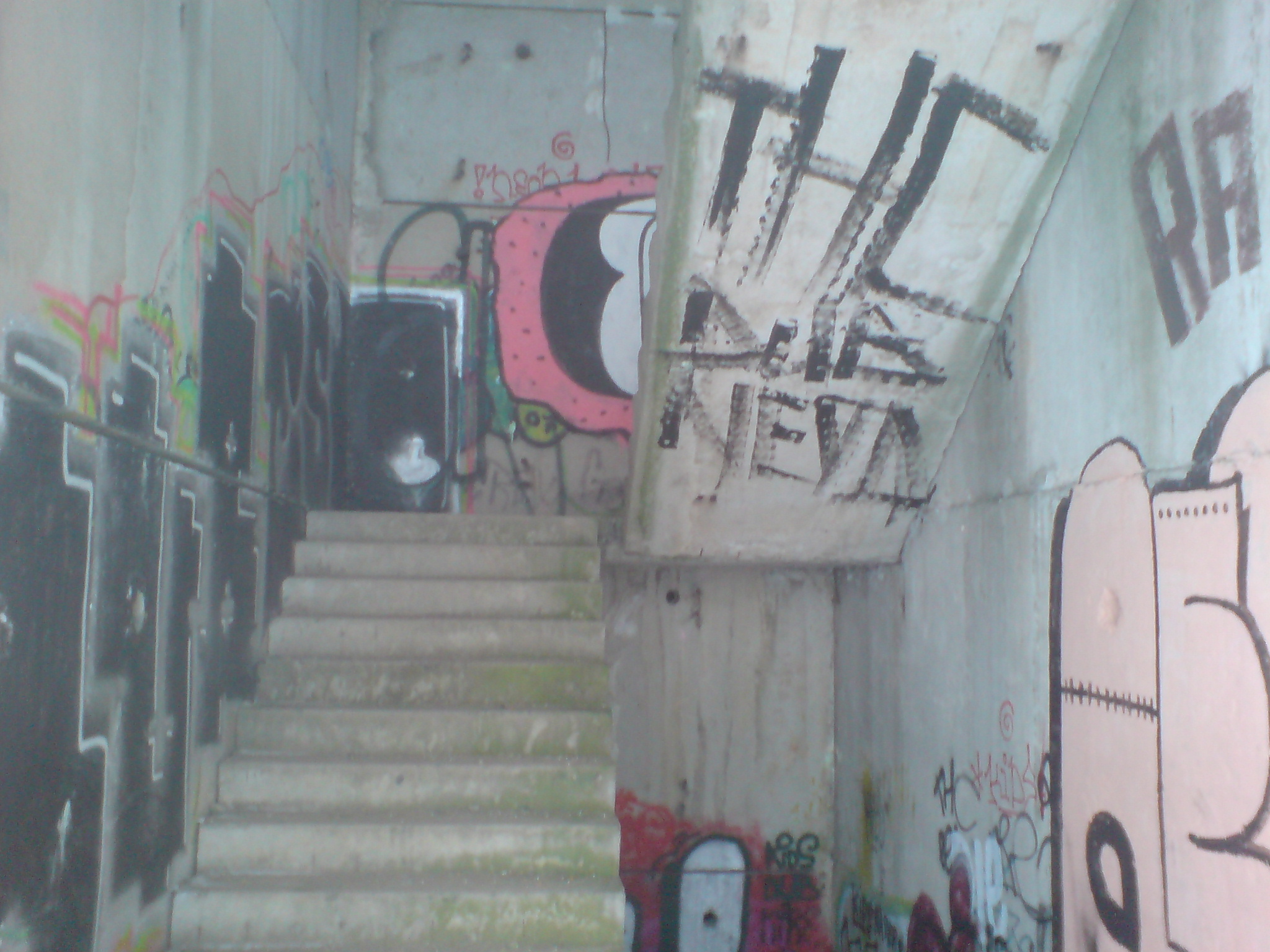 DSC00587.JPG