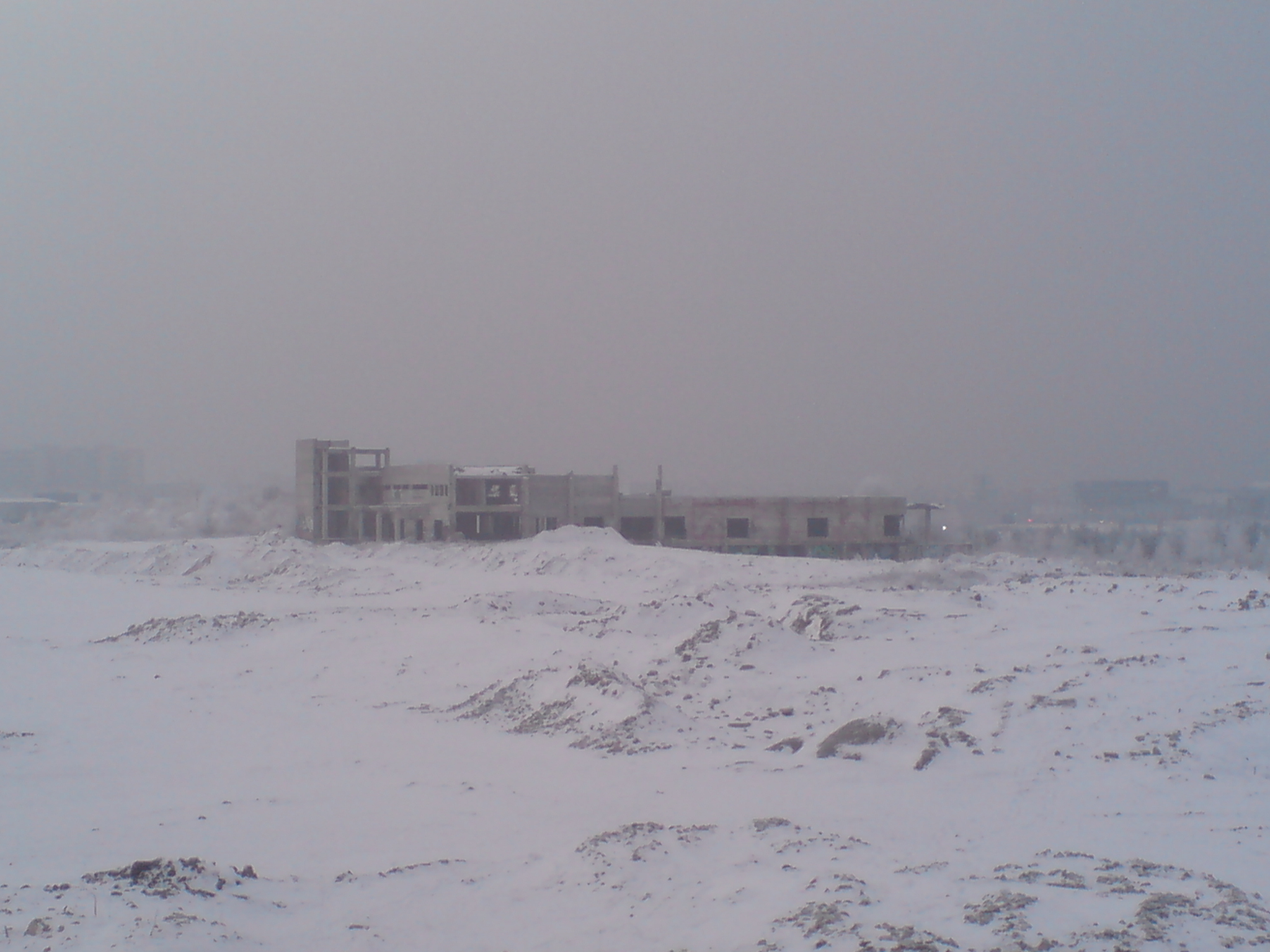DSC00589.JPG
