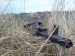 DSC00383.JPG