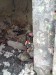 DSC01545.JPG