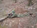 DSC01636.JPG